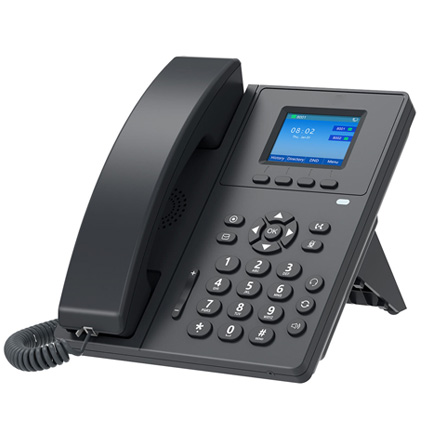 V110 & V110E 100M、color screen ip phone